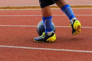 AYX SPORTS-CBA新赛季全面开打各队实力全面升级，cba新赛季有哪些球队